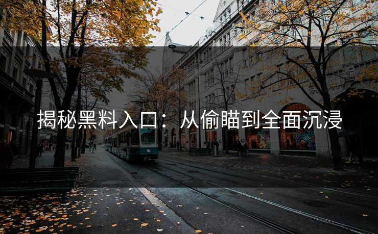 揭秘黑料入口：从偷瞄到全面沉浸