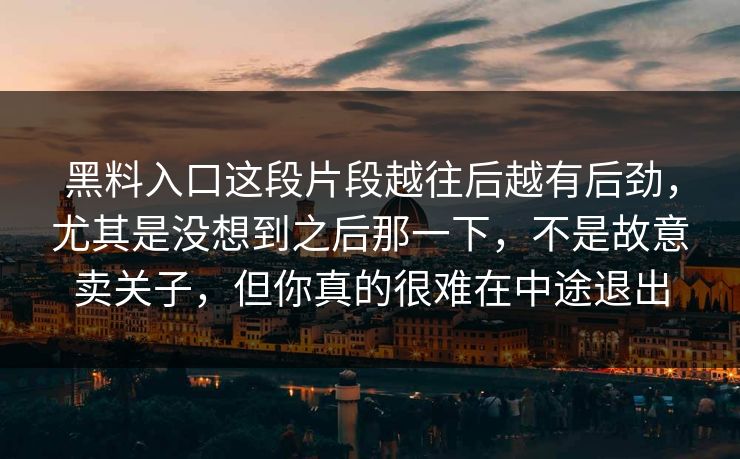 黑料入口这段片段越往后越有后劲，尤其是没想到之后那一下，不是故意卖关子，但你真的很难在中途退出