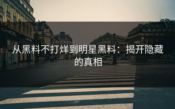 从黑料不打烊到明星黑料：揭开隐藏的真相