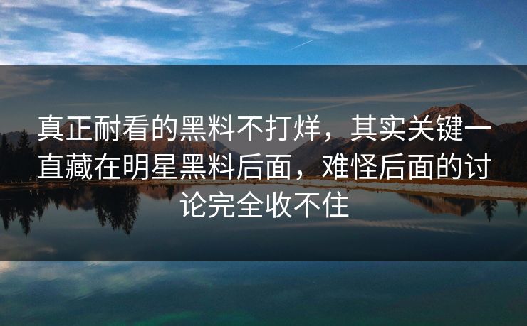 真正耐看的黑料不打烊，其实关键一直藏在明星黑料后面，难怪后面的讨论完全收不住