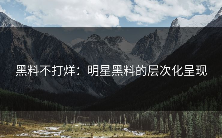 黑料不打烊：明星黑料的层次化呈现