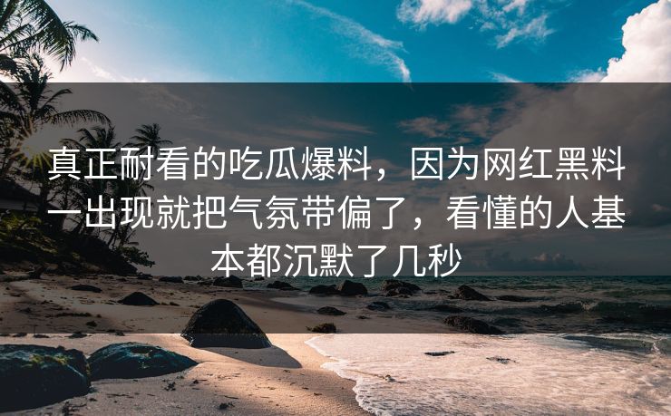 真正耐看的吃瓜爆料，因为网红黑料一出现就把气氛带偏了，看懂的人基本都沉默了几秒